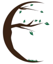 Elm Dirt